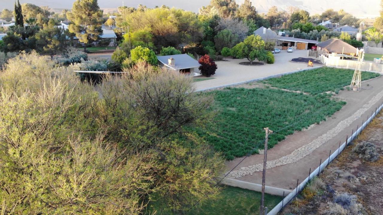 Tarantula Guest House Calvinia Exterior photo