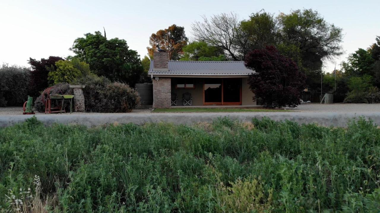 Tarantula Guest House Calvinia Exterior photo