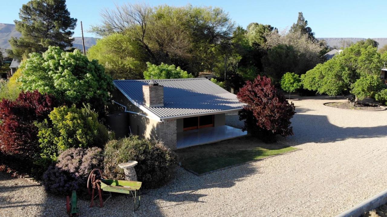 Tarantula Guest House Calvinia Exterior photo